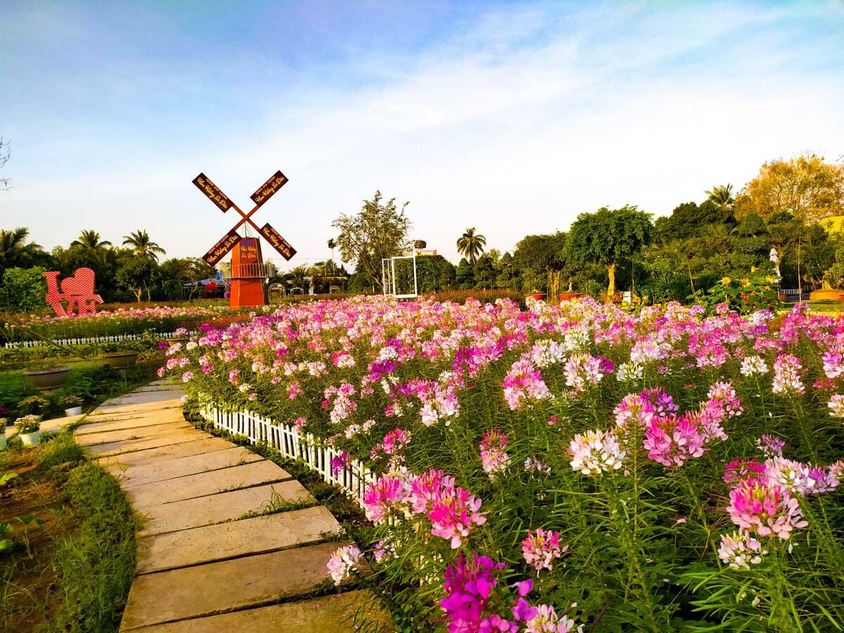 DU LỊCH ĐỒNG THÁP- CHÙA LÁ SEN- LÀNG HOA SA ĐÉC HAPPY LAND HÙNG THY - VƯỜN QUÝT HỒNG